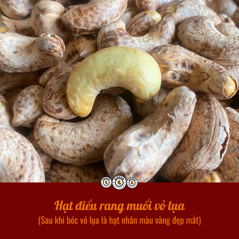 hat-dieu-rang-muoi-dihona