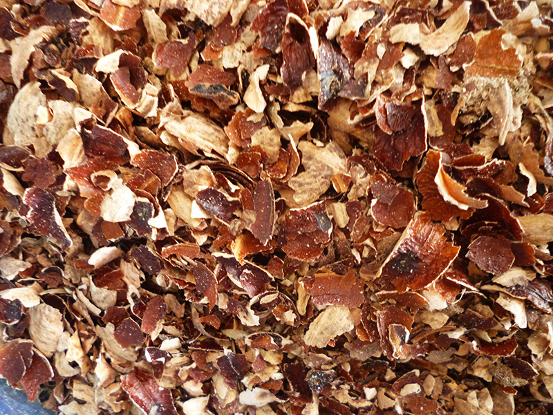 Hạt điều có khi nào - cách phân biệt các loại?