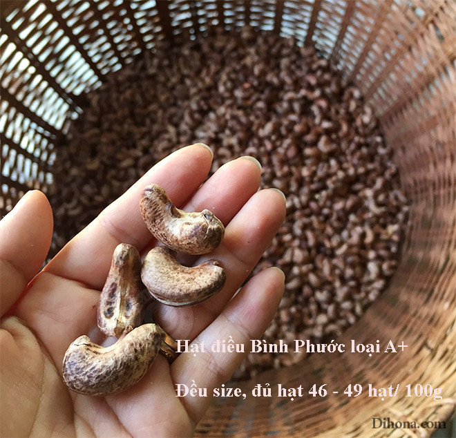 Hạt điều giá bao nhiêu