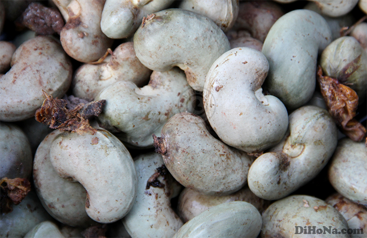 hat-dieu-rang-muoi-tphcm