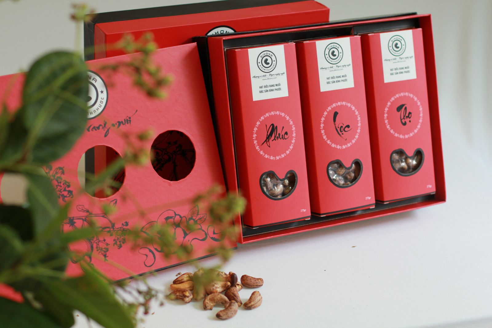 hat-dieu-rang-muoi-gia-si