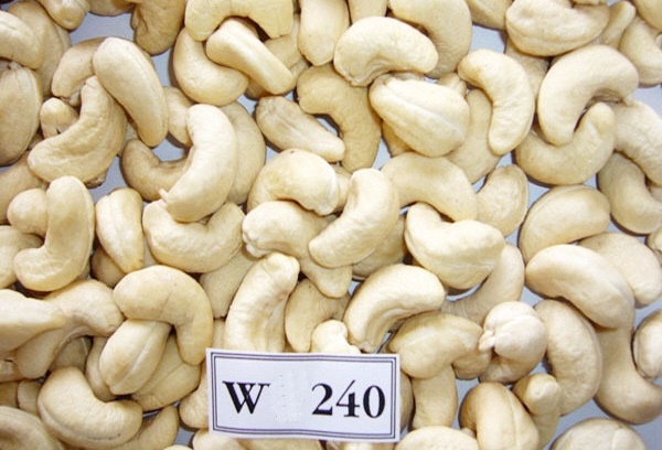 Hạt điều xuất khẩu