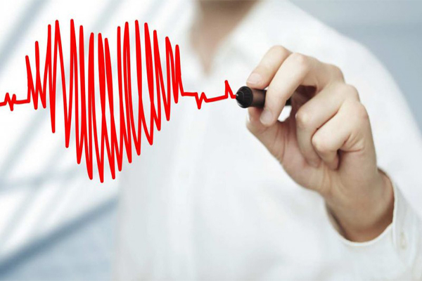 Hột điều có tác dụng gì? Hột điều có tác dụng gì?