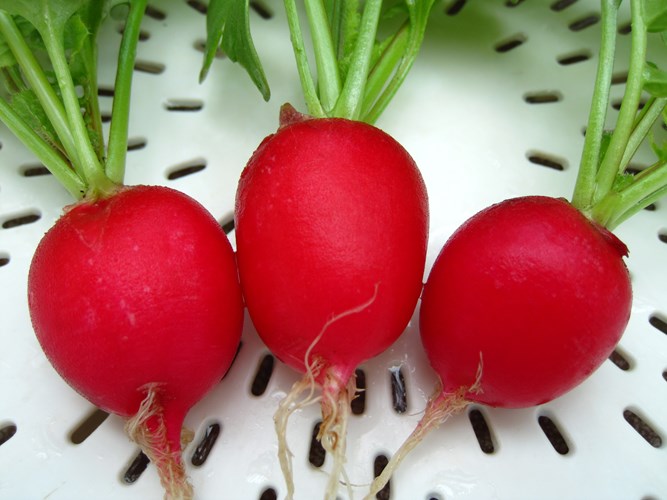 Làm sao tập trung sự tỉnh táo