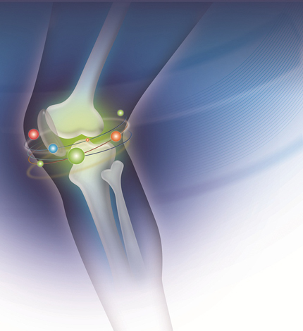 Quà tặng Việt Nam