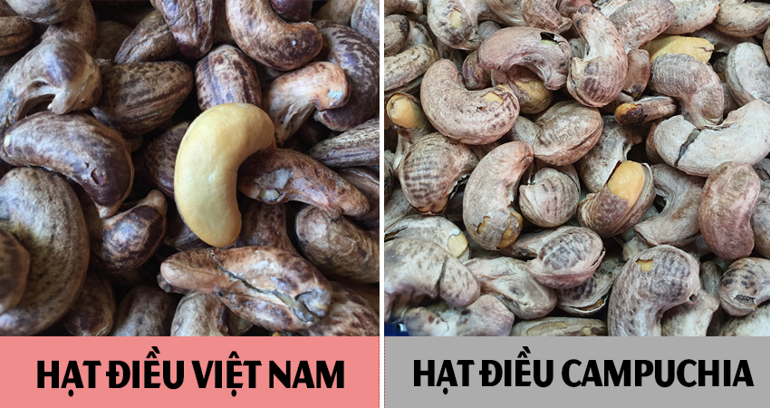 so sánh hạt điều Bình Phước và hạt điều Campuchia