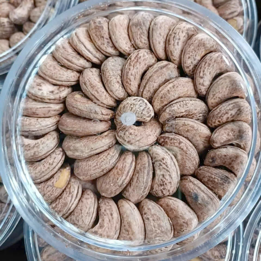 hatdieurangcui hatdieurangcui